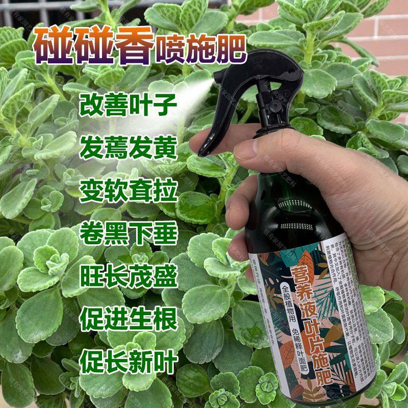 碰碰香老桩专用肥料水培土培植物长新叶变绿营养液盆栽喷施肥肥料,鲜花速递/花卉仿真/绿植园艺,家庭园艺肥料,淘宝优惠券,粉丝福利购,淘宝优惠卷