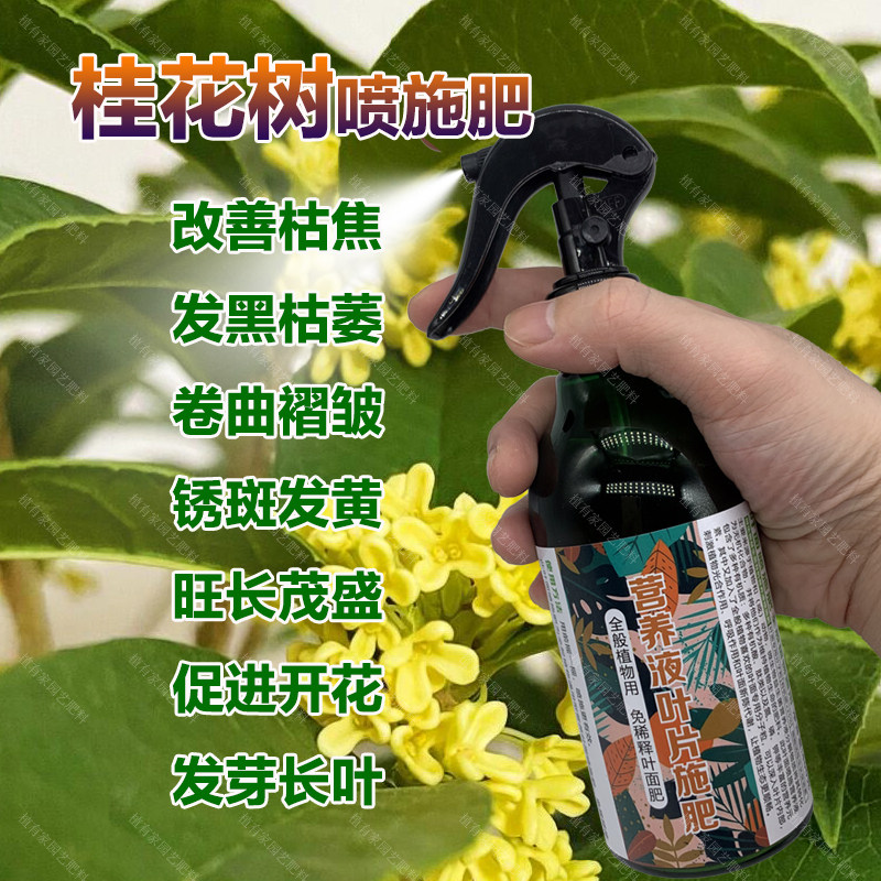 桂花树专用肥料四季桂花盆栽盆景老桩大树苗营养液专用土叶面肥料,鲜花速递/花卉仿真/绿植园艺,家庭园艺肥料,淘宝优惠券,粉丝福利购,淘宝优惠卷