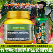 竹节秋海棠专用肥料盆栽绿植物营养液海棠花肥家庭养殖水溶化肥料