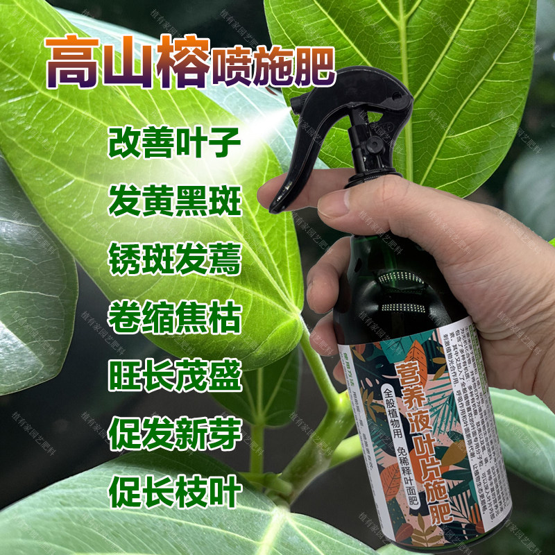 高山榕专用肥料室内绿植营养液水溶化肥料长新叶出锦茂密叶面肥料,鲜花速递/花卉仿真/绿植园艺,家庭园艺肥料,淘宝优惠券,粉丝福利购,淘宝优惠卷