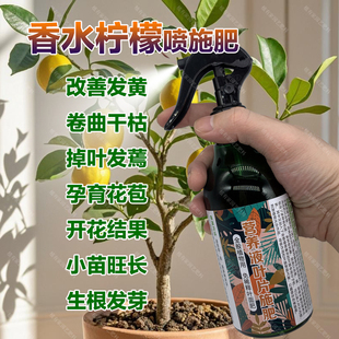 柠檬树专用肥料种植盆栽营养液开花结果挂果长高发芽长新叶面肥料