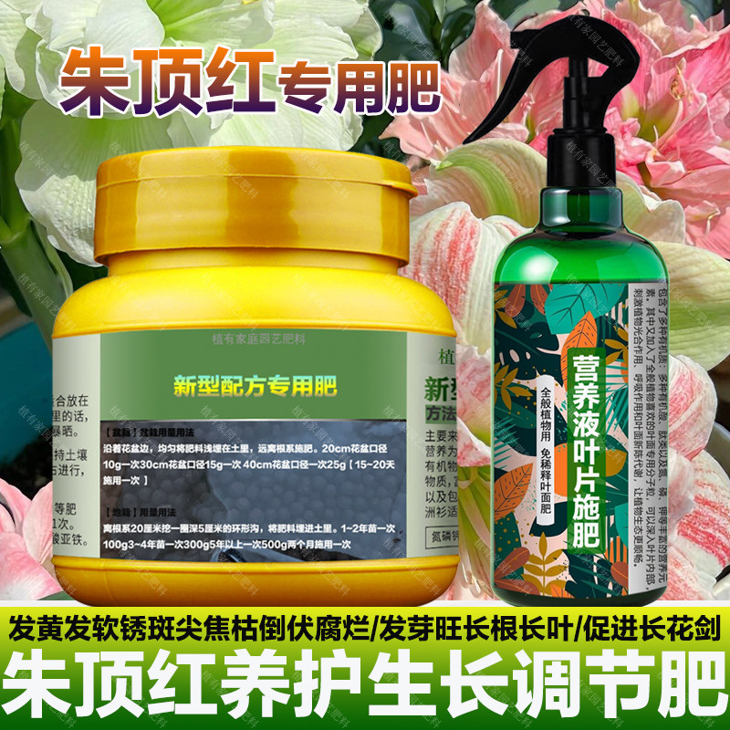 朱顶红专用肥料盆栽营养液锈斑焦枯发黄发软腐烂倒伏红斑叶面肥料,鲜花速递/花卉仿真/绿植园艺,家庭园艺肥料,淘宝优惠券,粉丝福利购,淘宝优惠卷