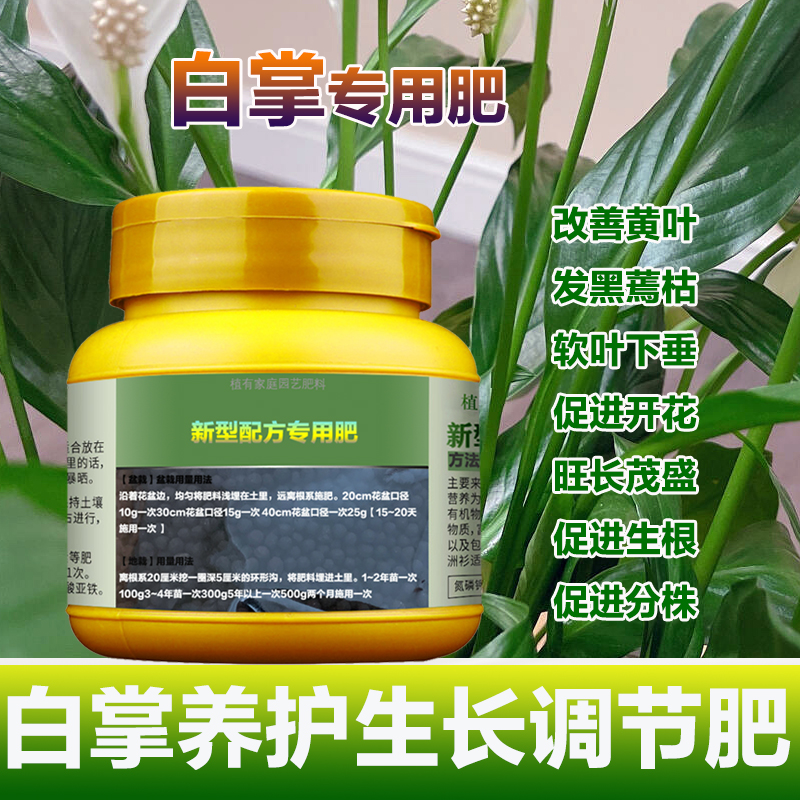 白掌一帆风顺盆栽水培植物绿植花肥室内叶子边缘焦枯发黄花卉肥料