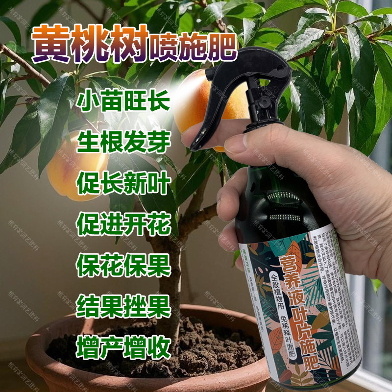 黄桃果树专用肥料盆栽小苗旺长生根促发新芽长新叶面肥营养液肥料,鲜花速递/花卉仿真/绿植园艺,家庭园艺肥料,淘宝优惠券,粉丝福利购,淘宝优惠卷