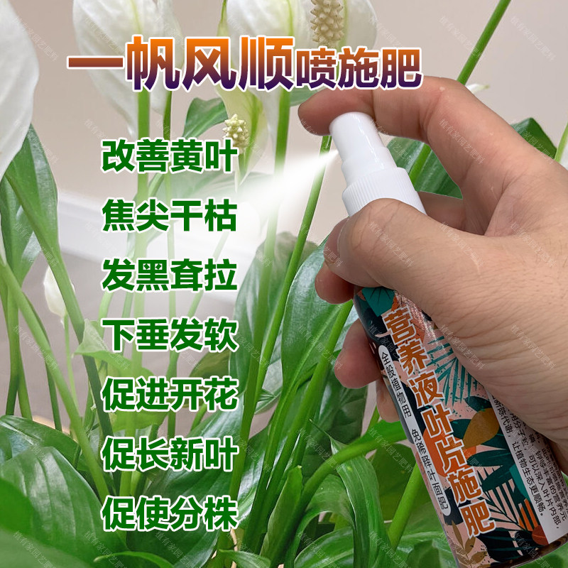 一帆风顺专用肥料盆栽白掌红掌水培花肥营养液专用土喷剂叶面肥料,鲜花速递/花卉仿真/绿植园艺,家庭园艺肥料,淘宝优惠券,粉丝福利购,淘宝优惠卷
