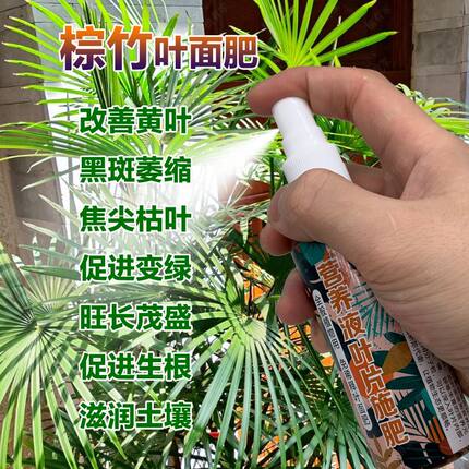 金山棕竹专用肥料叶子发黄干枯萎缩黑斑苗营养液促使新芽生根肥料