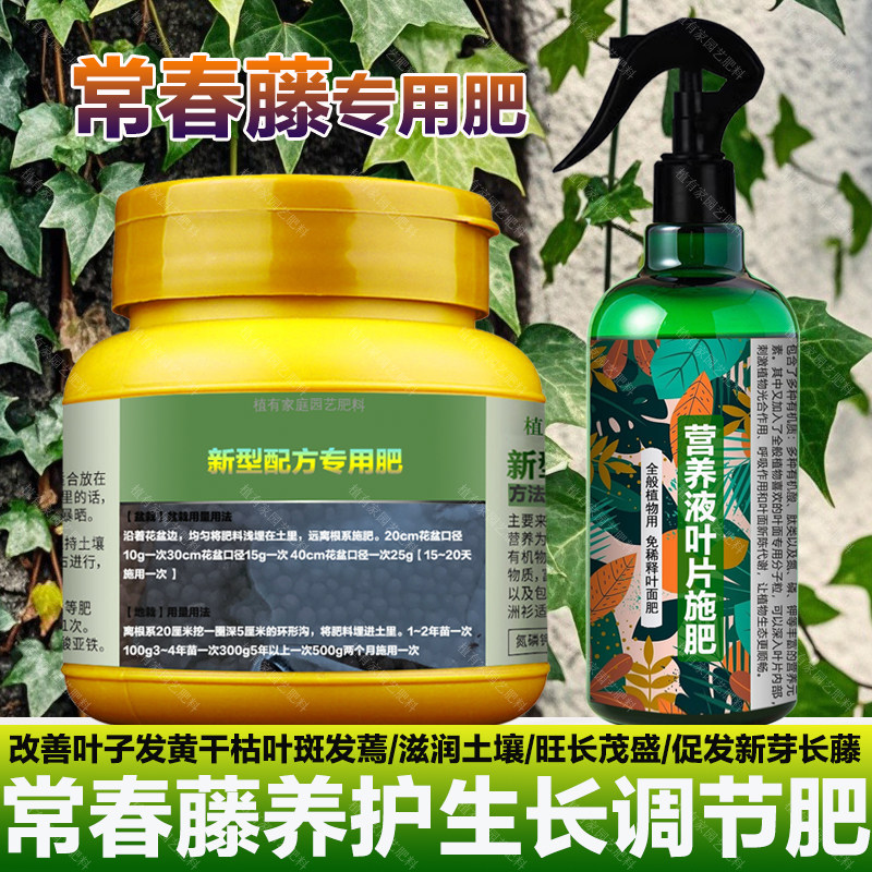 常春藤专用肥料爬藤金边营养液叶子发黄发蔫软干枯萎斑病叶面肥料,鲜花速递/花卉仿真/绿植园艺,家庭园艺肥料,淘宝优惠券,粉丝福利购,淘宝优惠卷