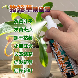 猪笼草专用肥料养护花盆栽专用土养殖结笼长笼子的营养液叶面肥料