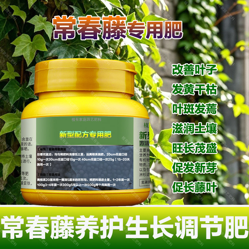 常春藤专用肥料盆栽爬藤金边常春藤垂吊营养液开花发芽长叶面肥料,鲜花速递/花卉仿真/绿植园艺,家庭园艺肥料,淘宝优惠券,粉丝福利购,淘宝优惠卷