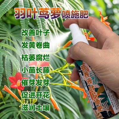 羽叶茑萝专用肥料养殖盆栽羽叶茑萝花苗专用土养护营养液叶面肥料