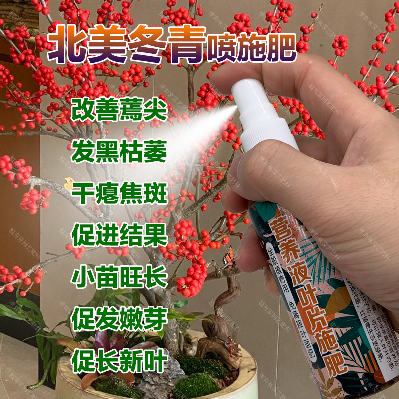 北美冬青树专用肥料花盆栽绿植物营养液促进开花结果花卉叶面肥料