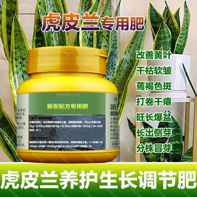 虎皮兰专用肥料盆栽绿植物金边高叶银脉长脚青叶苗营养液喷施肥料