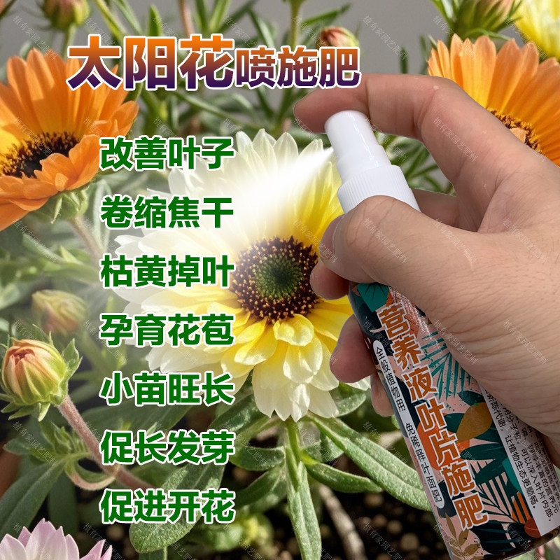 太阳花专用肥料种植养殖盆栽花肥花苗专用土壤营养液喷剂叶面肥料,鲜花速递/花卉仿真/绿植园艺,家庭园艺肥料,淘宝优惠券,粉丝福利购,淘宝优惠卷