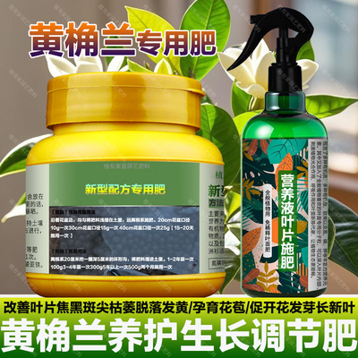 黄桷兰专用肥料树苗白兰花肥营养液发黄焦黑斑尖枯萎脱落叶面肥料