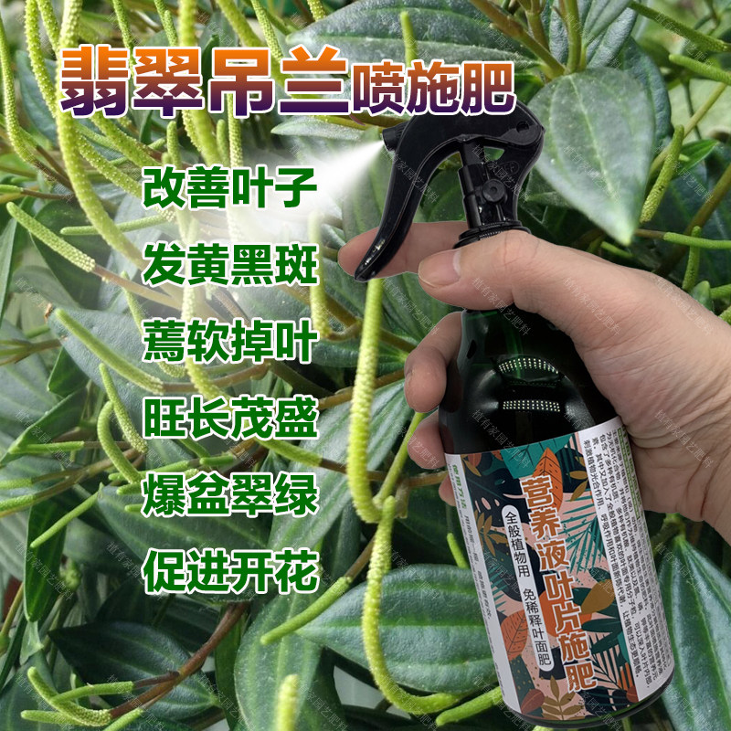 翡翠吊兰专用肥料钻石金边营养液旺长茂盛爆盆翠绿开花肥叶面肥料,鲜花速递/花卉仿真/绿植园艺,家庭园艺肥料,淘宝优惠券,粉丝福利购,淘宝优惠卷