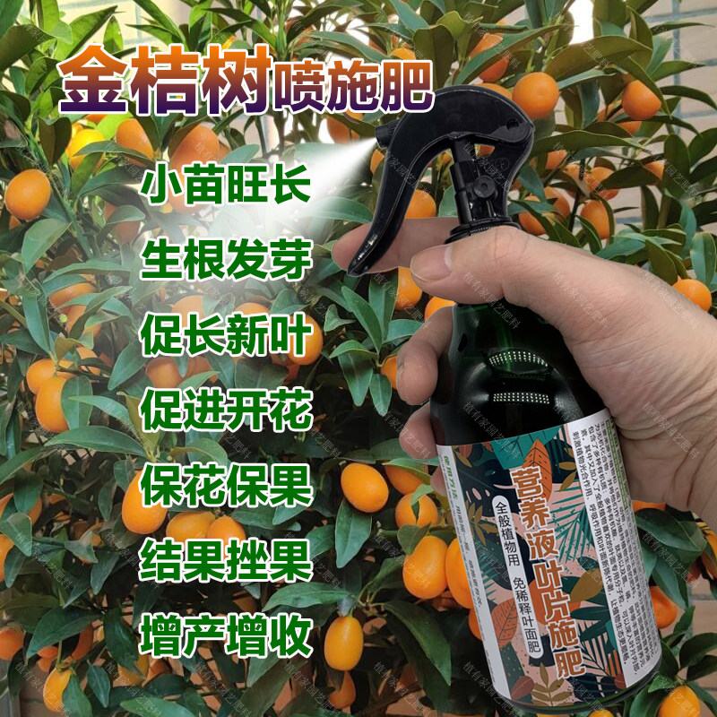 金桔树专用肥料盆栽金桔苗旺长生根促发新芽长新叶营养液叶面肥料,鲜花速递/花卉仿真/绿植园艺,家庭园艺肥料,淘宝优惠券,粉丝福利购,淘宝优惠卷