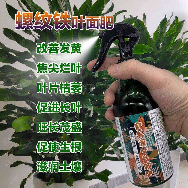 螺纹铁专用肥料绿植物营养液养护叶面喷施肥促使长新叶片生根肥料,鲜花速递/花卉仿真/绿植园艺,介质/营养土,淘宝优惠券,粉丝福利购,淘宝优惠卷