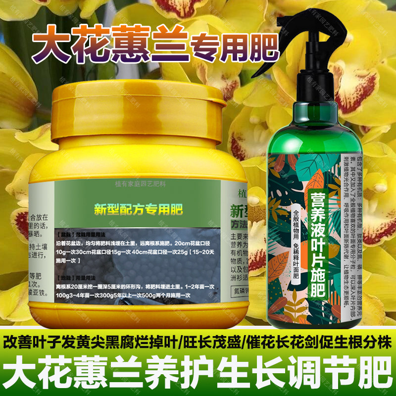 大花蕙兰专用肥料盆栽兰花营养液叶子白点下垂发黄尖发黑花卉肥料,鲜花速递/花卉仿真/绿植园艺,家庭园艺肥料,淘宝优惠券,粉丝福利购,淘宝优惠卷