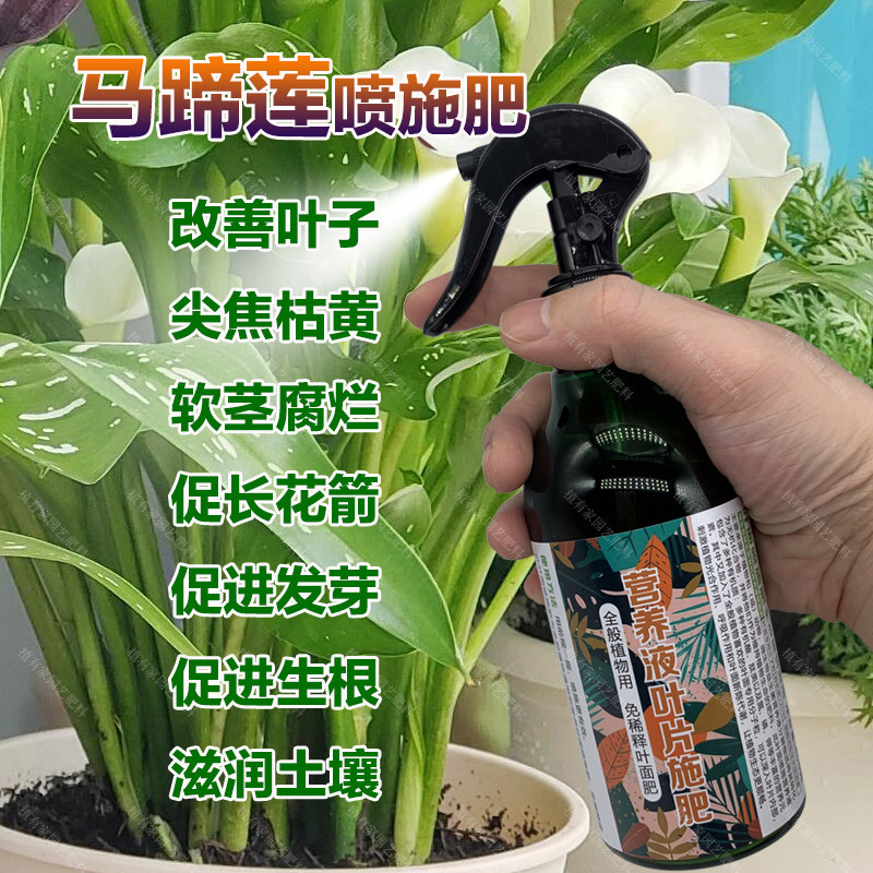 马蹄莲专用肥料盆栽植物种球水培土培发芽营养液促长花箭开花肥料图片
