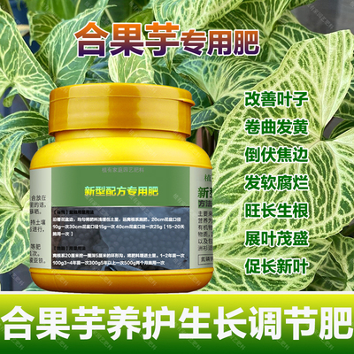 合果芋专用肥料盆栽种球花肥营养液旺长生根展叶茂盛长新叶面肥料