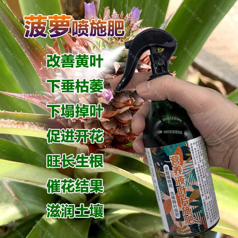 菠萝种植专用肥料盆栽植物枯黄营养液水培花卉水养下塌掉叶子肥料,鲜花速递/花卉仿真/绿植园艺,家庭园艺肥料,淘宝优惠券,粉丝福利购,淘宝优惠卷