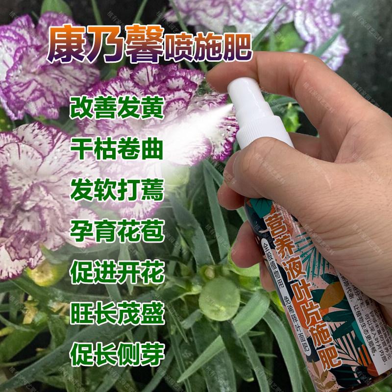 康乃馨专用肥料盆栽杜鹃花营养液叶子黄干枯卷曲发软打蔫叶面肥料,鲜花速递/花卉仿真/绿植园艺,家庭园艺肥料,淘宝优惠券,粉丝福利购,淘宝优惠卷