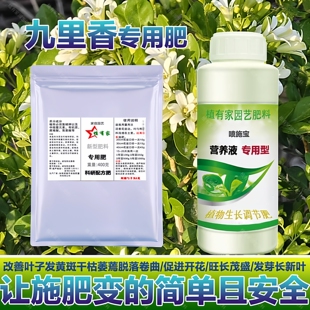 九里香专用肥料土盆栽老桩盆景开花肥树苗大树小苗营养液营养肥料