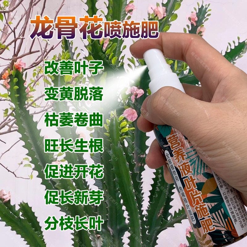龙骨花专用肥料仙人柱玉麒麟营养液叶子变黄脱落枯萎卷曲叶面肥料,鲜花速递/花卉仿真/绿植园艺,家庭园艺肥料,淘宝优惠券,粉丝福利购,淘宝优惠卷