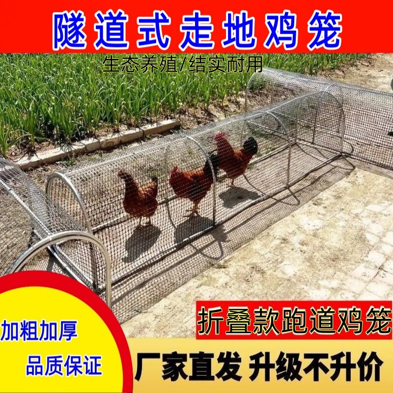 新款可折叠式溜达养殖笼图片