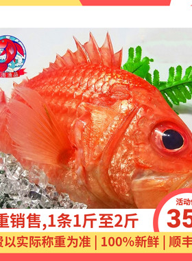 海鲜鱼海鱼将军甲鱼红鱼大红甲鱼深海将军甲鱼养身鱼按称重售卖