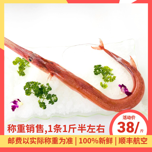 海鲜鱼海鲜鱼烟管鱼马鞭鱼海钓红马鞭鱼刺身鸭嘴鱼刺身鱼称重售卖