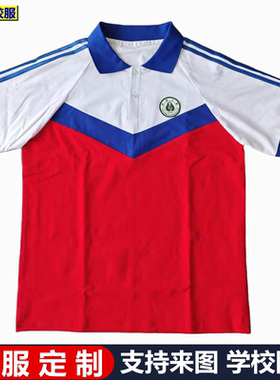 聊城市河东小学学生校服纯棉短袖T恤夏季薄款半袖POLO衫蓝色班服