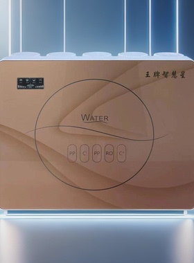 王牌600G高端机