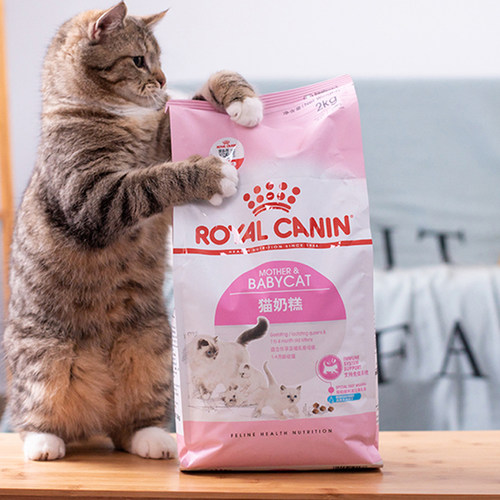 皇家哺乳期奶糕猫主粮