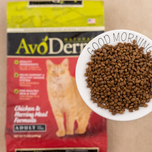 美国进口avoderm牛油果猫粮天然猫1