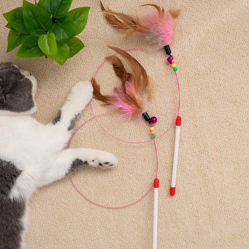 逗猫棒耐咬带铃铛羽毛自嗨宠物猫咪玩具钢丝超长杆喵咪用品成幼猫,宠物/宠物食品及用品,逗猫棒,淘宝优惠券,粉丝福利购,淘宝优惠卷