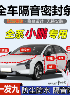 小鹏专用汽车ABC柱中控台密封条