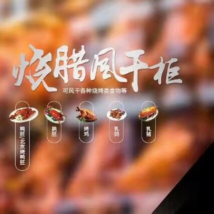 厂家供应 科倍纯ADC-36 烧腊风干柜 鹅鸭风干机 茶餐厅厨房设备