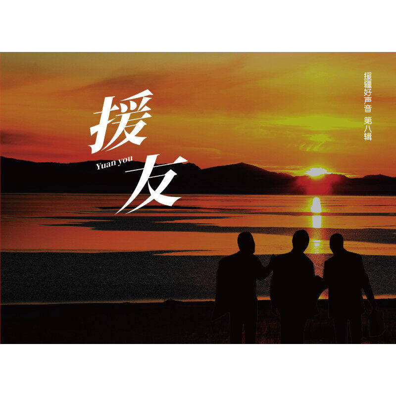 群星援疆好声音第八辑 援友 CD原装正版