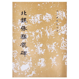 历代碑帖法书选 北魏张猛龙碑 原大影印 楷书毛笔碑帖中国北魏字帖 成人学生用原拓书法字帖碑帖 文物出版社官方旗舰店