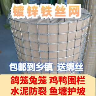 镀锌铁丝网围栏钢丝网加粗加厚养殖鸡鸭网抹墙防裂建筑防护网防鼠