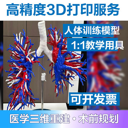 3d打印人体训练模型1：1医学教具医用教学模型演示肺部动静脉定制