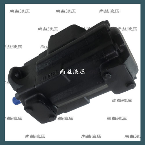 进口DENISON油泵进口丹尼逊叶片泵T6DC-028-008-1R02-B1双联泵