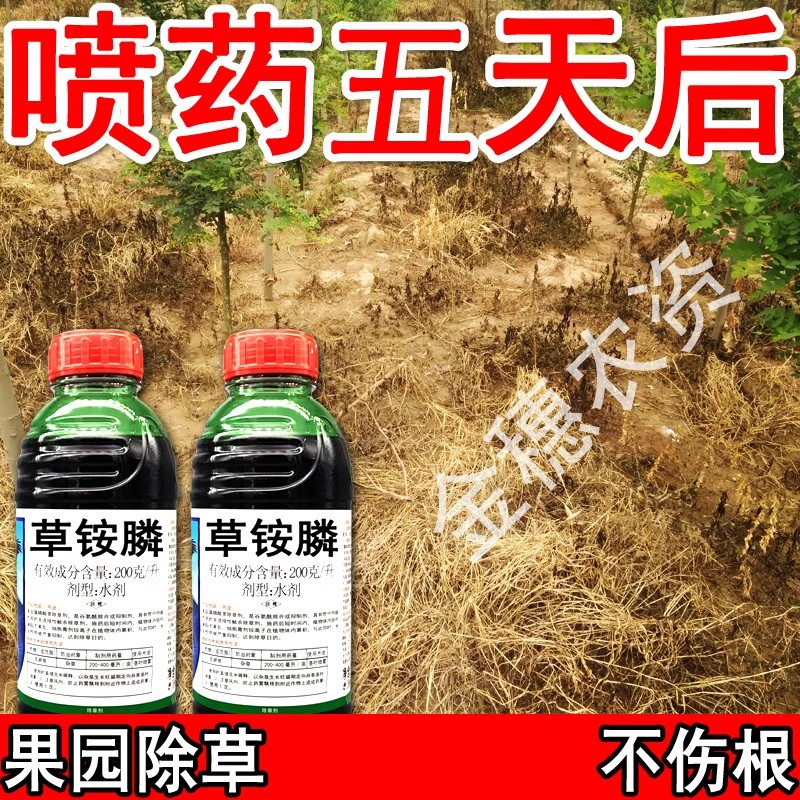 草铵膦滨农科技草胺磷灭草剂杀草神器杂草一扫光枯死烂根除草剂