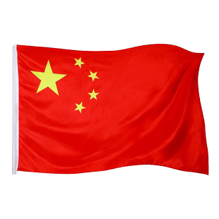 一号二号三号四号五号旗子国旗红旗五星中国户外旗大号团旗道具装饰批发定制纳米党旗防水标准手持带杆旗帜