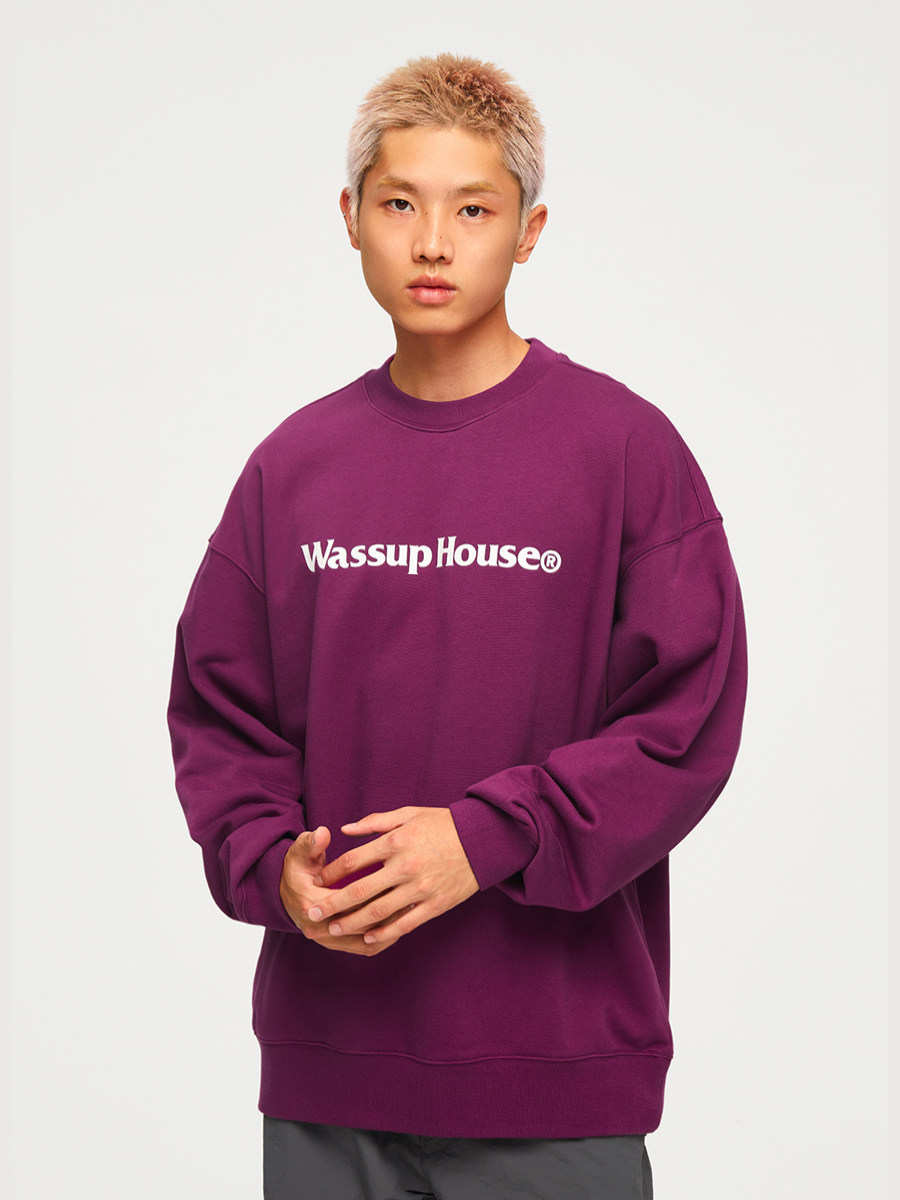 wassuphouse autumn new sweatshirt men's basic print fleece thickened heavy couple long sleeve top tide