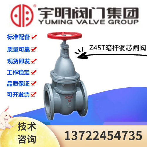 宇明阀门集团Z45T-10/16铸铁法兰暗杆铜芯闸阀DN40-300排污闸门