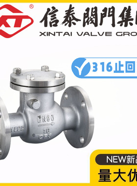 XT上海信泰阀门316不锈钢法兰止回阀H44W/H-10/16/25/40/64/100R