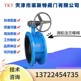 TKT天津莱斯特阀门D341X 900中线阀 16Q铸铁法兰涡轮蝶阀DN40