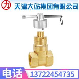 DN50 16T黄铜内螺纹磁性锁闭防盗闸阀DN15 天津大站力字阀门 Z15W